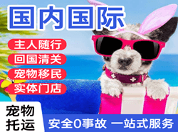 北京空运公司国际宠物托运 【国